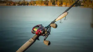 fishing pole
